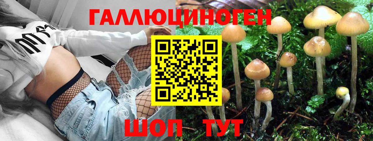 Кимры  Галлюциногенные грибы мухоморы  Вход с VPN 
