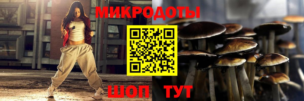 Галлюциногенные грибы MAGIC MUSHROOMS Кимры